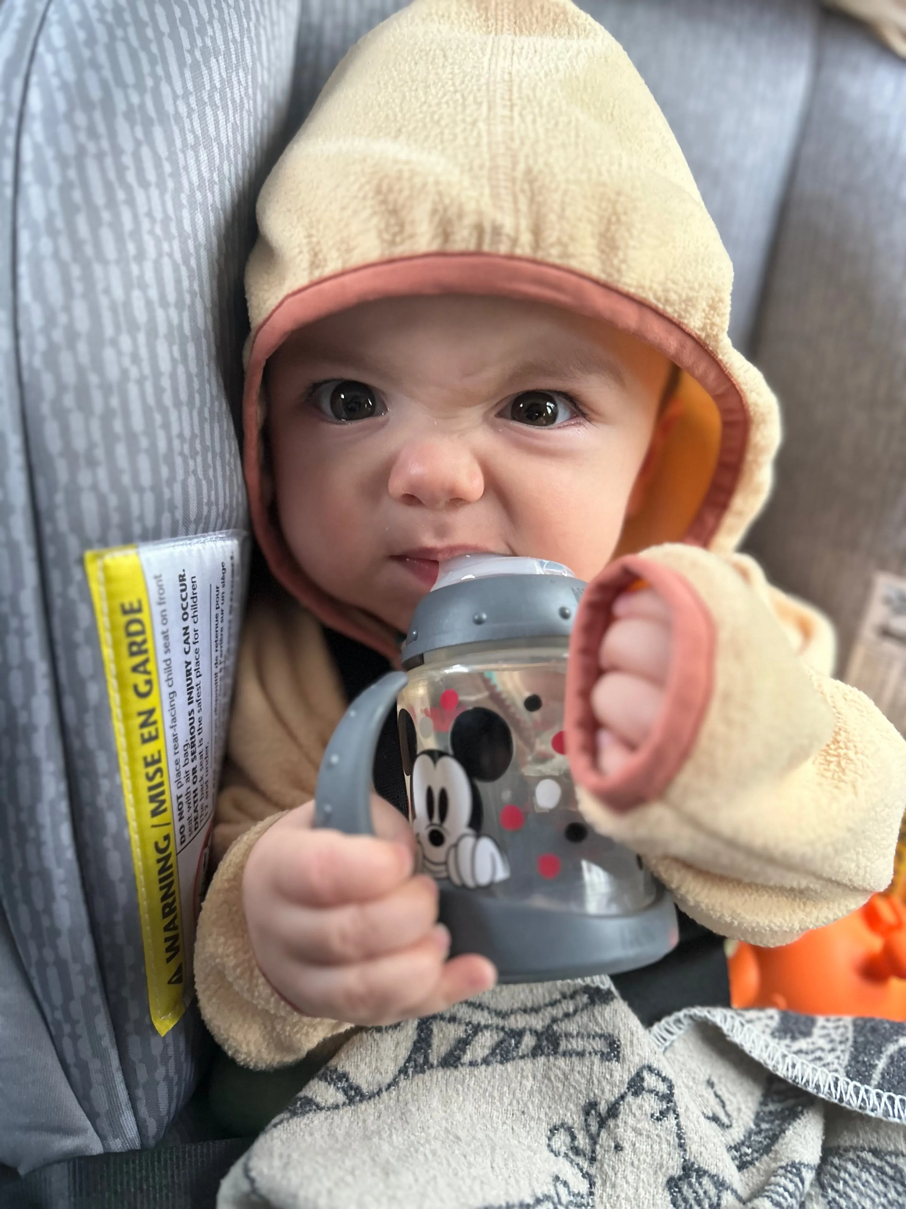 Patagonia Baby Micro D® Snap-T® Fleece Jacket