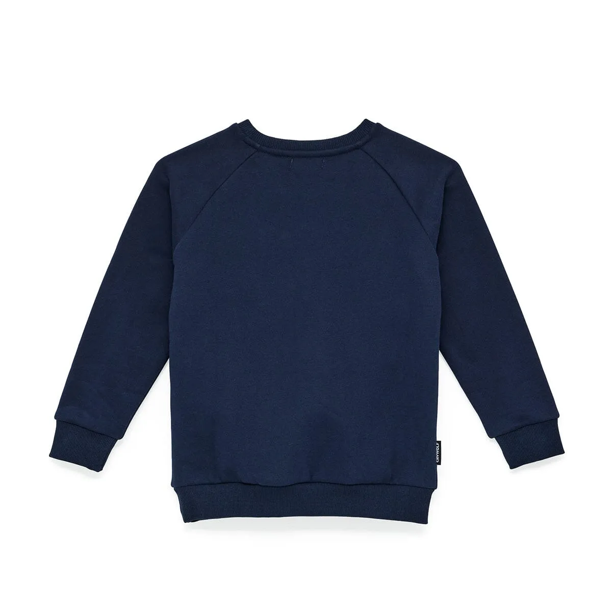 Sunday Sweater (Earth Day)